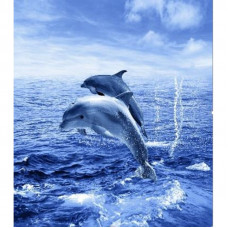Шторка для ванной фотопринт "Дельфины" 180х200 без колец (PL), арт. Two dolphins